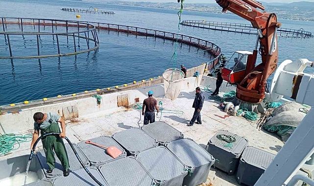 Samsun, 'Türk somonu' üretiminde dünya markası haline geldi