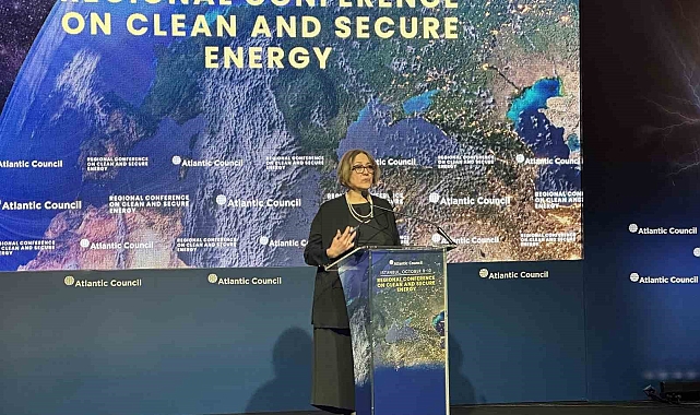 ABD Dışişleri Bakan Yardımcısı Pyatt: "Türkiye yenilenebilir enerji konusunda bir liderlik rolü üstlendi"