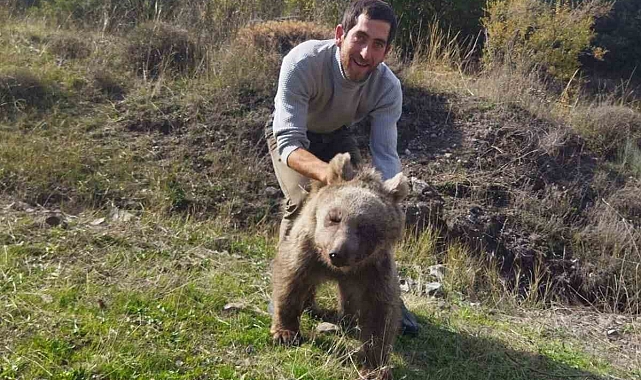 Erzurum Oltu'da yaralı yavru ayı kurtarıldı