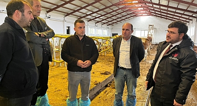 Hayvancılık istişare toplantısı yapıldı