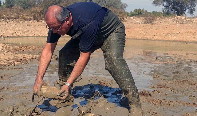 Kuruyan gölette balık kurtarma operasyonu