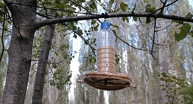 Kuşlar için yemlik hazırladılar
