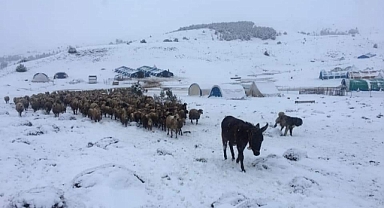 Yaylalardan köylere göç başladı