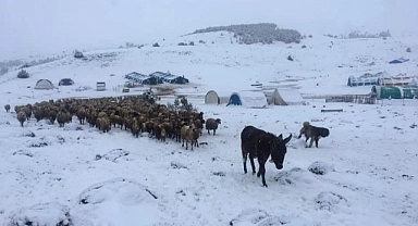 Yaylalardan köylere göç başladı