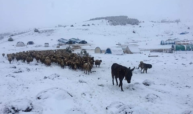 Yaylalardan köylere göç başladı