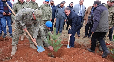Aslan Dağı'na 40 bin fidan...