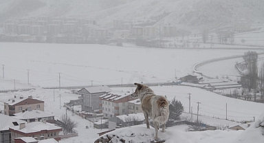 Bayburt için kar yağışı uyarısı
