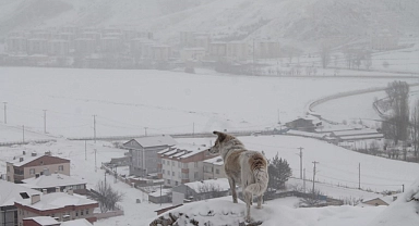 Bayburt için kar yağışı uyarısı