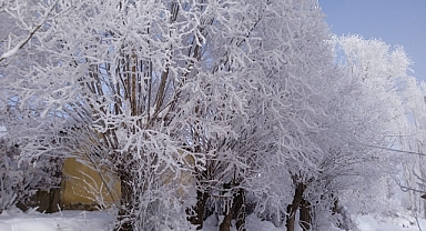 Demirözü'nden kar manzaraları