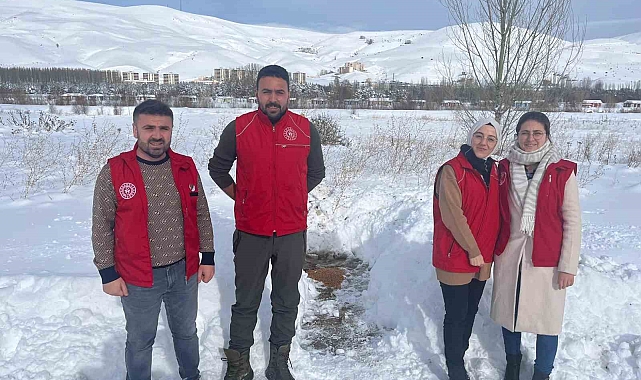Gençlik Merkezi gönüllüleri sokak hayvanları için doğaya yiyecek bıraktı