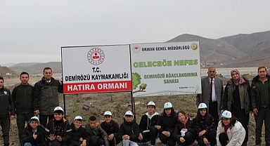 Güvercindere’de 200 sarıçam dikildi