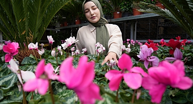 Kasım ayında hangi çiçekler tercih ediliyor?