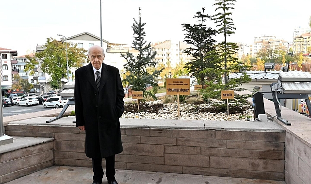 MHP'den dikkat çeken paylaşım: "Bahçeli genel merkez önüne 'Biz Kardeşiz Ağaçları' dikti"