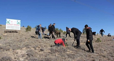 Milli Ağaçlandırma Günü’nde 400 fidan dikildi