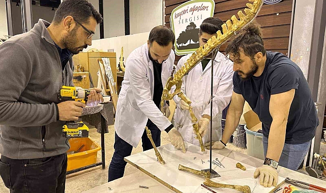 7,5 milyon yıllık fosil kazıları dünya paleontoloji tarihine ışık tutuyor
