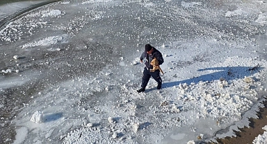 Buz tutan nehre giren kediyi, itfaiye kurtardı