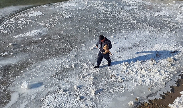 Buz tutan nehre giren kediyi, itfaiye kurtardı