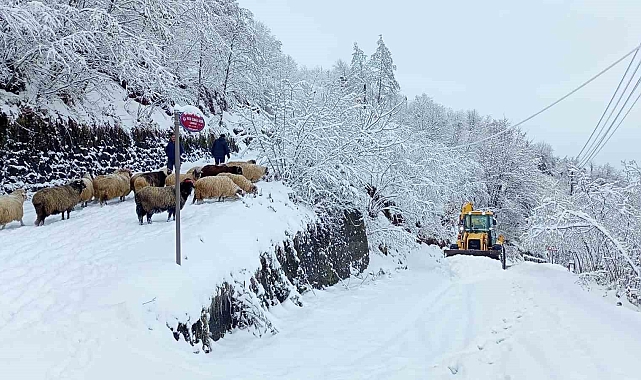 Doğu Karadeniz'de kış