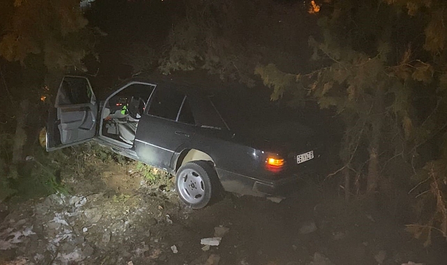 Elazığ'da otomobil, ağaçlara çarptı: 4 yaralı