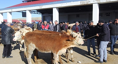 Hayvan pazarlarında şap karantinası