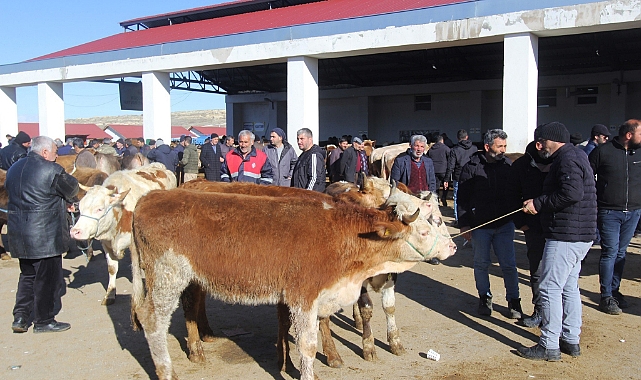 Hayvan pazarlarında şap karantinası