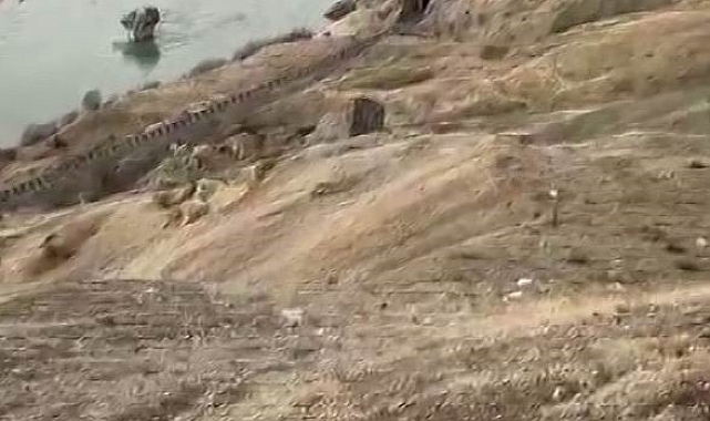 Koruma altındaki dağ keçileri Palu'nun eşsiz manzarasına dahil oldu