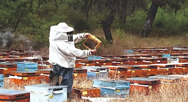 Pazartesi arıcılık üzerine panel var