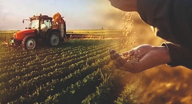 Son başvuru tarihi 31 Aralık