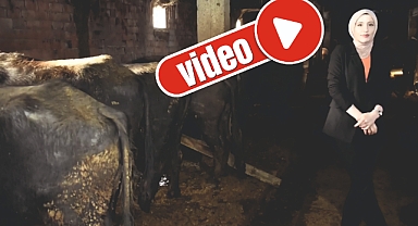 Uzman Eller Projesi ile işe başladı, şimdi işletmesini büyütüyor