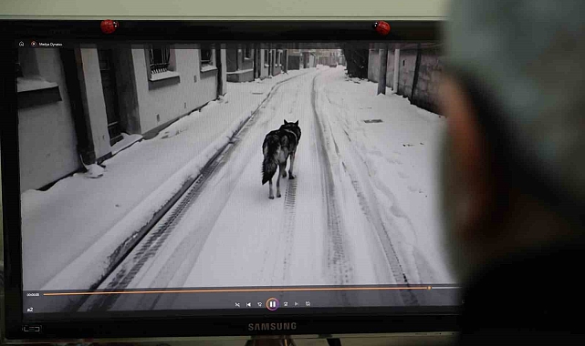 Yapay zekâ teknolojisi 2025'te kaosa neden olabilir