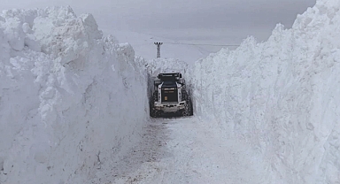 En fazla kar görülen iller belli oldu