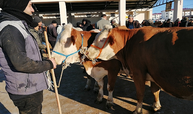 Hayvan pazarında hareketli açılış