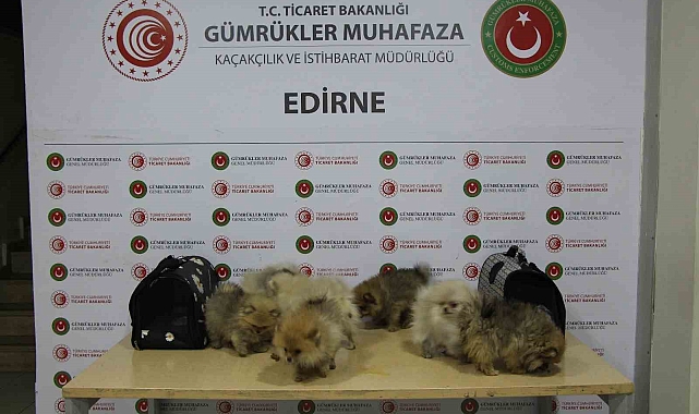 Ticaret Bakanlığı yasa dışı ticarete engel oldu