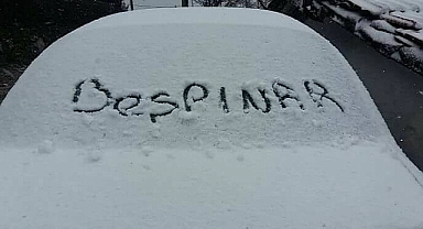 Beşpınar -24’le buz kesti