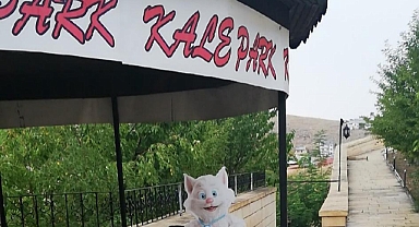 Kale Park ihaleye çıkıyor
