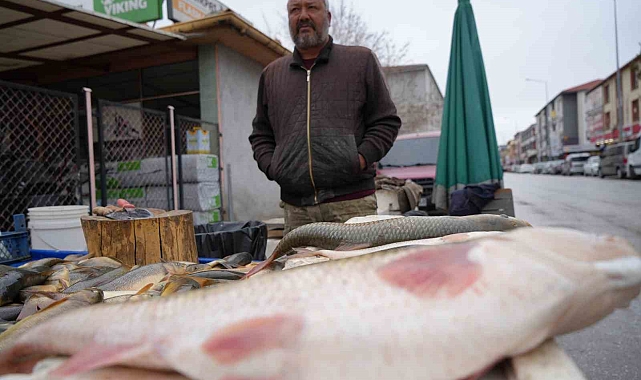 Erzincan'da Fırat balığı 250 TL'den alıcı buluyor