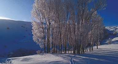 Meteoroloji çığ riskine karşı uyardı!
