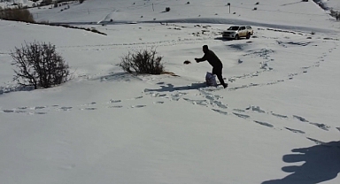 Yaban hayvanları için karla kaplı araziye yem bırakıldı