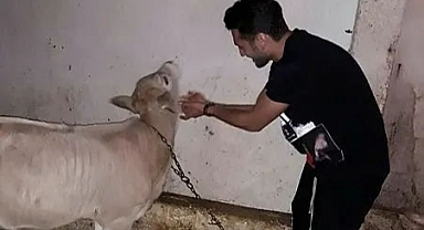 Çalhanoğlu'nun Bayburt ve köy sevgisi