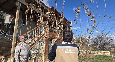 Meyve ağaçlarında hastalık kontrolleri yapıldı