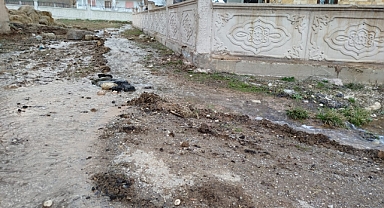 Tarlalar su içinde, çiftçiler dertli!