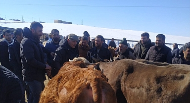 Bayburt’ta kurban hareketliliği