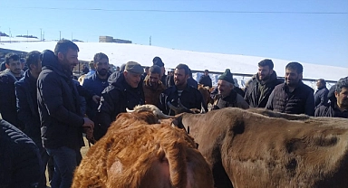 Bayburt’ta kurban hareketliliği
