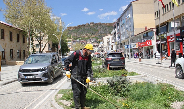 Belediyenin bahar mesaisi sürüyor