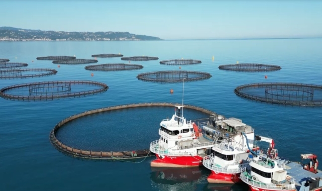 Doğu Karadeniz'de somon hasadı başladı