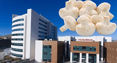 Mantar zehirlenmesi vakaları arttı