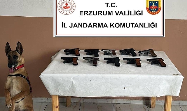 Oltu'da 10 adet ruhsatsız tabanca ele geçirildi