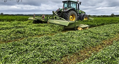 Yem bitkisi ödemeleri yapıldı