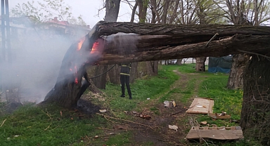Yıldırım düşen ağaç ikiye bölündü