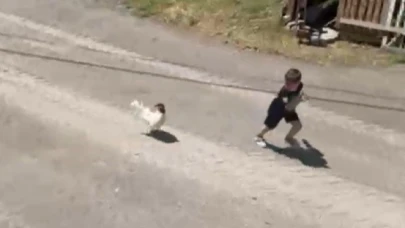 Küçük çocuğun horozla imtihanı: Horoz kovaladı minik Ömer Arda kaçtı